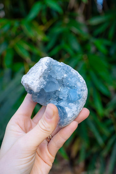 Celestite Cluster